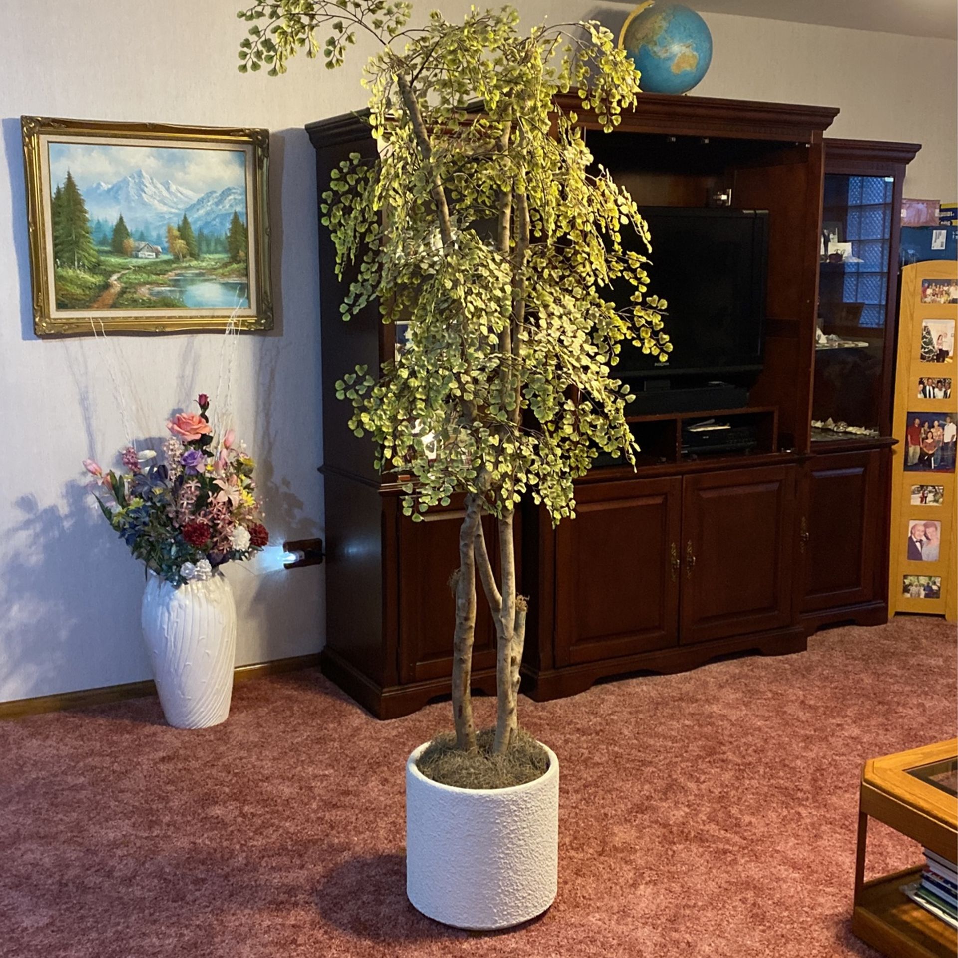 Silk Plant With White Stucco Pot 6 1/2 Foot