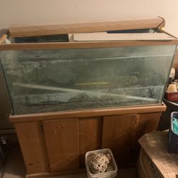 75 Gallon Fish Tank With Stand