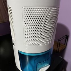 Air Purifier