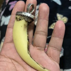 Sloth Bear Pendant Real Sliver 