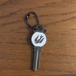 Bird In Cage Illusion Key (Bioshock)