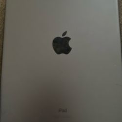 iPad 