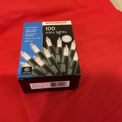 Mini Christmas Lights