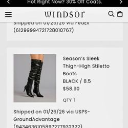 Windsor's - Season's Sleek Thigh-High Stiletto Boots BLACK / 8.5