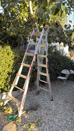 Little giatn ladder