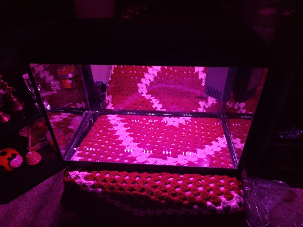 Brand New Fish Tank With Colored Led Light And Water Filter