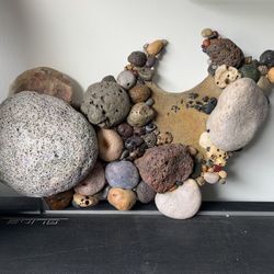  Rock Taxidermy Mount