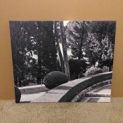 Canvas b&w print