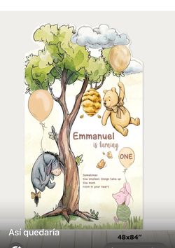 Winnie Pooh party