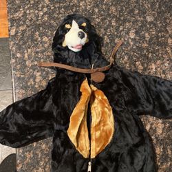 Dog Halloween Costume