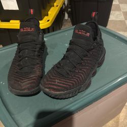 Size 11 - Nike LeBron 16 Fresh Bred 2018