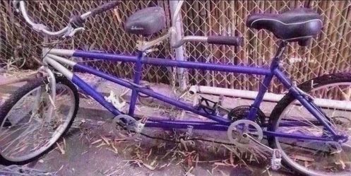 Schwinn Tandem Bicycle
