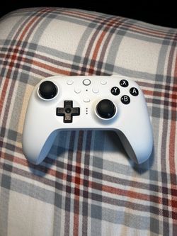 8Bitdo Nintendo Switch controller/Windows 10 and above