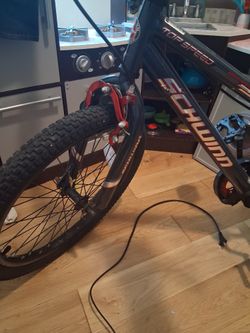 Schwinn Bike Boys