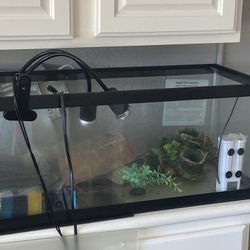 10 Gallon Fish Tank With Light