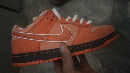 Orange lobster size 8:5