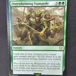 Overwhelming Stampede [The Lord Of The Rings]