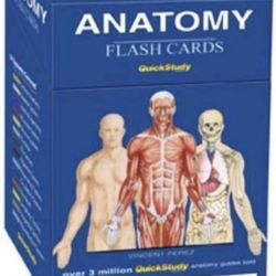 Anatomy Flash Cards