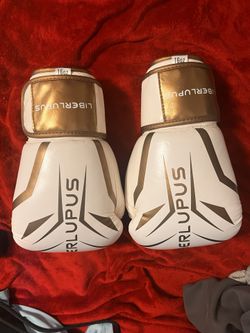 Boxing Gloves 