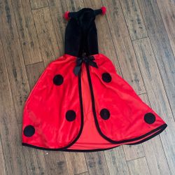 Child’s Ladybug Cape Costume