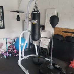 Heavy bag, speed bag, heavy bag/speed bag stand, reflex bag, double end bag, Heavy Bag Anchor for Sale in FL -