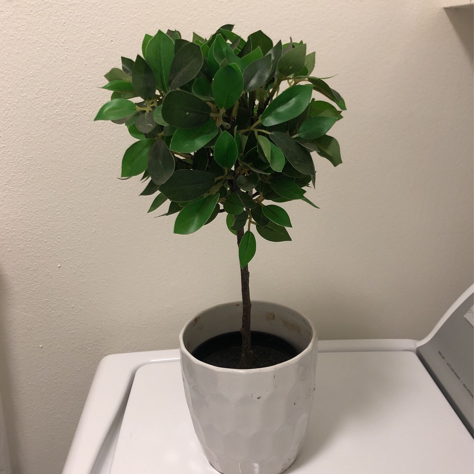 Faux Plant With Ceramic Pot