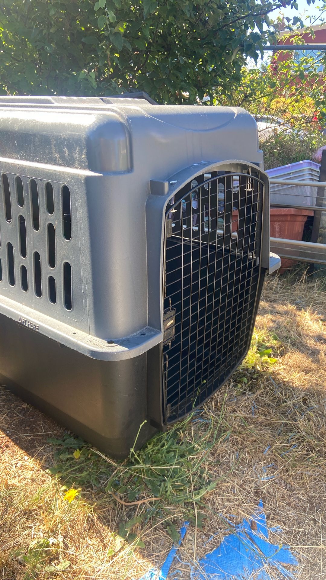 Dog Kennel Size Length 36 X Width 25 Height 27 Price 45$. Pick Up. E. 72 and Grand View. E. Tacoma