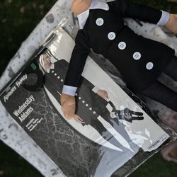 Halloween Costume 