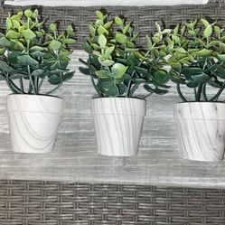 Wall/Home Decor