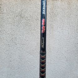 Fishing Rod Shakespeare Ugly Stik Bigwater Spinning 10ft Two Piece