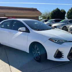 2019 Toyota Corolla (No License Needed)