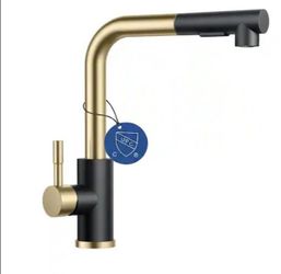 Forious Single-Handle Kitchen Sink Faucet with Pull Down Sprayer Kitchen Faucet in Black Gold