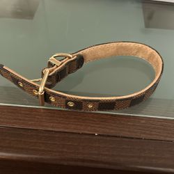 Dog Collar 