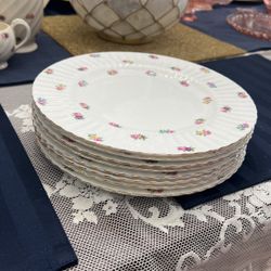 Paragon English China