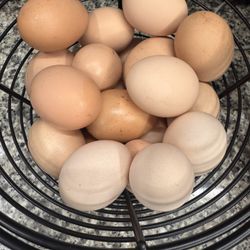 Organic Farm Fresh Chicken Eggs Daily! 