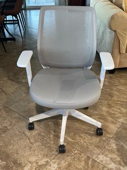 Ergonomic Task Chair, Mesh, Gray