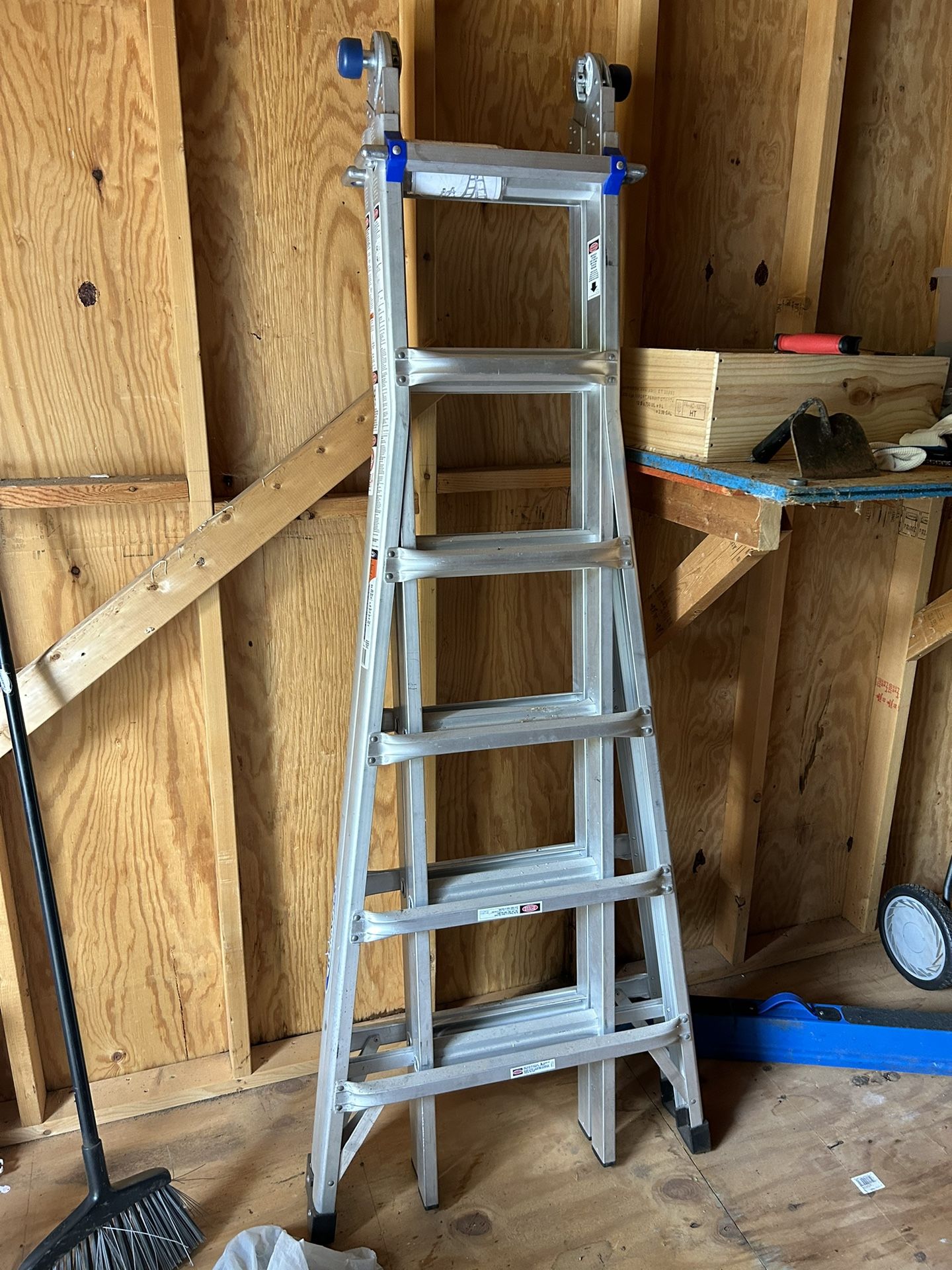 Werner 25 Foot Ladder