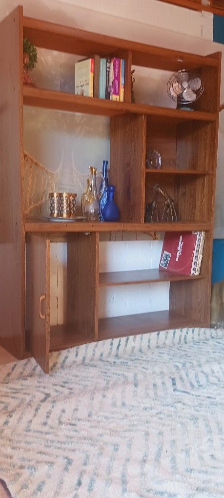 Vintage record storage shelving, bookshelf bookcase cabinet