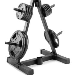 Bench Press And Weight Rack With Weights 