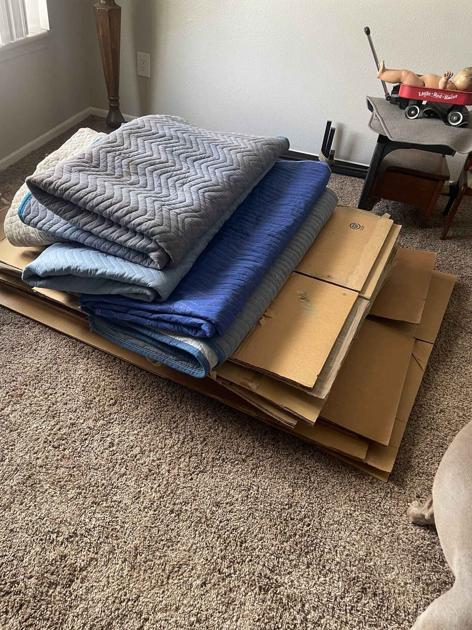 New used once moving boxes all sizes and pads