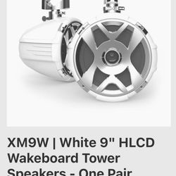 Tower Speakers 
