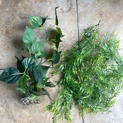 Fish tank plants