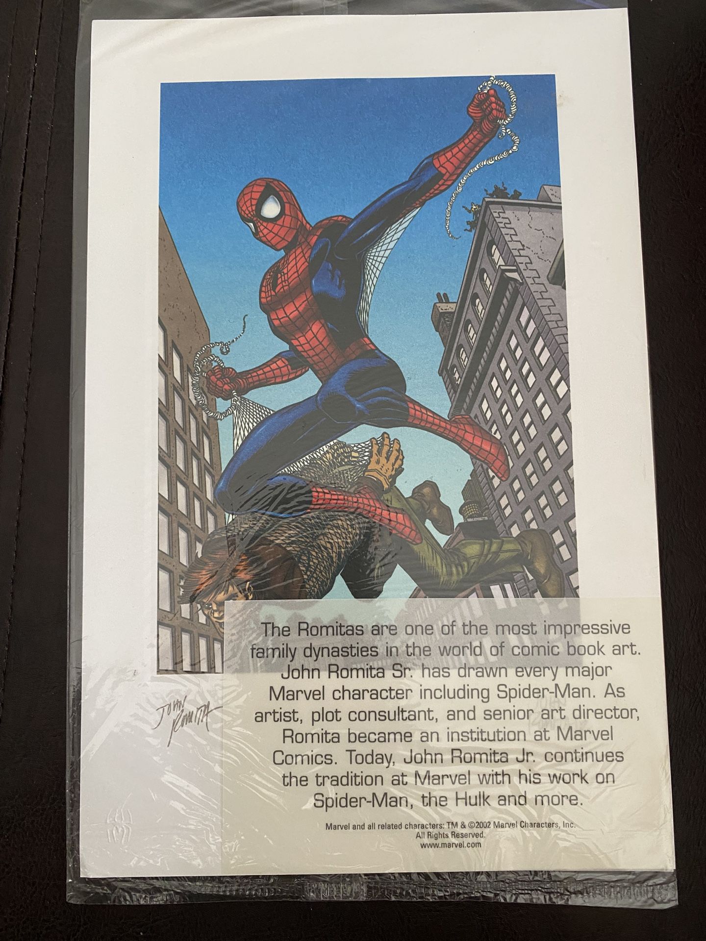 Signed Spider-Man Lithograph by John Romita Sr. & Jr. (2002 Marvel)