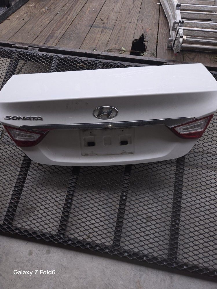 Trunk Door