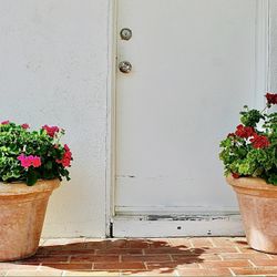 A Pair of Vintage Pots Manufactured By Al’s Garden Art Inc. In 2001 with Beautiful Geraniums