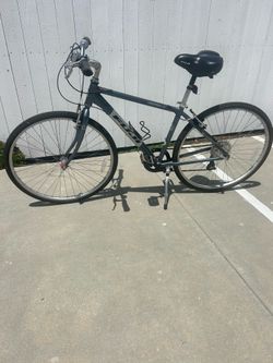 Adult commuter bike