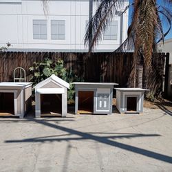 Casas Para Perro 