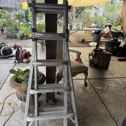 Ladder 