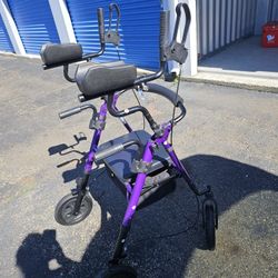Mobility Walker Upright