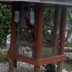 Tiki Bird Cage